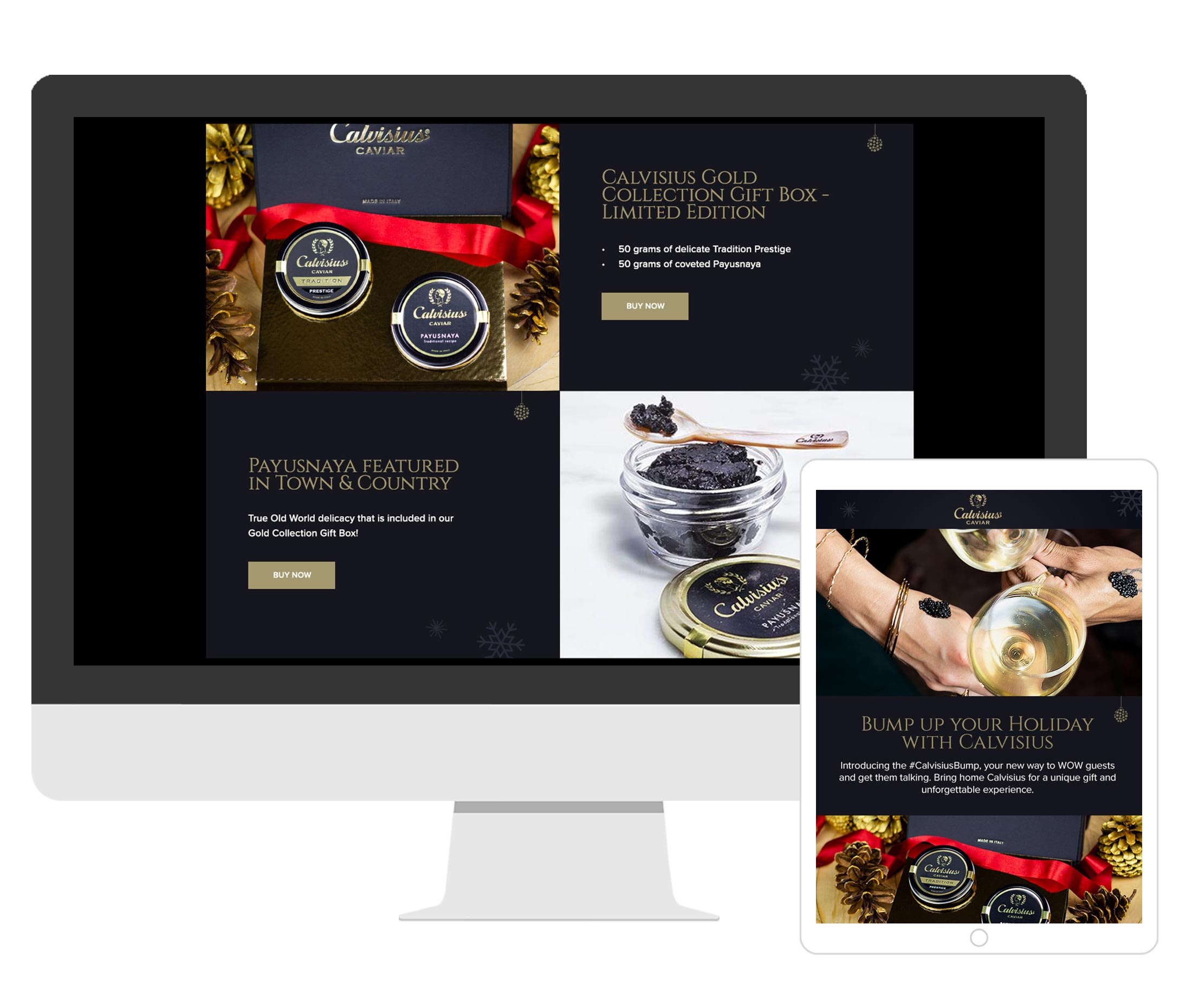 calvisius-page